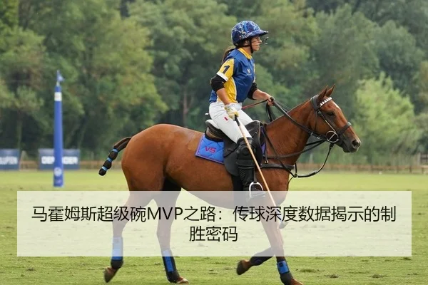 马霍姆斯超级碗MVP之路：传球深度数据揭示的制胜密码